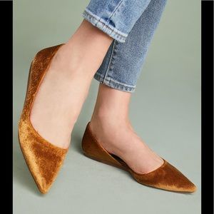 Mott D’orsay Flat